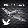 Birds Attack