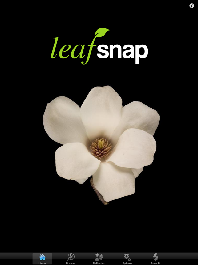 Leafsnap For iPad(圖1)-速報App