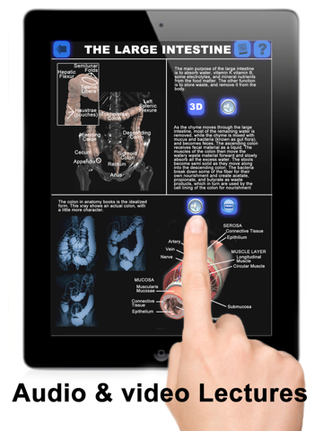 Anatomy 3D: Organsのおすすめ画像5