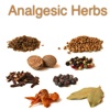 Analgesic Herbs