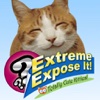 Extreme Expose It!  Totally Cute Kitties Edition!