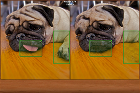 Animals Spot the Difference screenshot