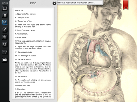 Surgical Anatomy - Student Edition screenshot 4