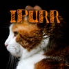 iPurr