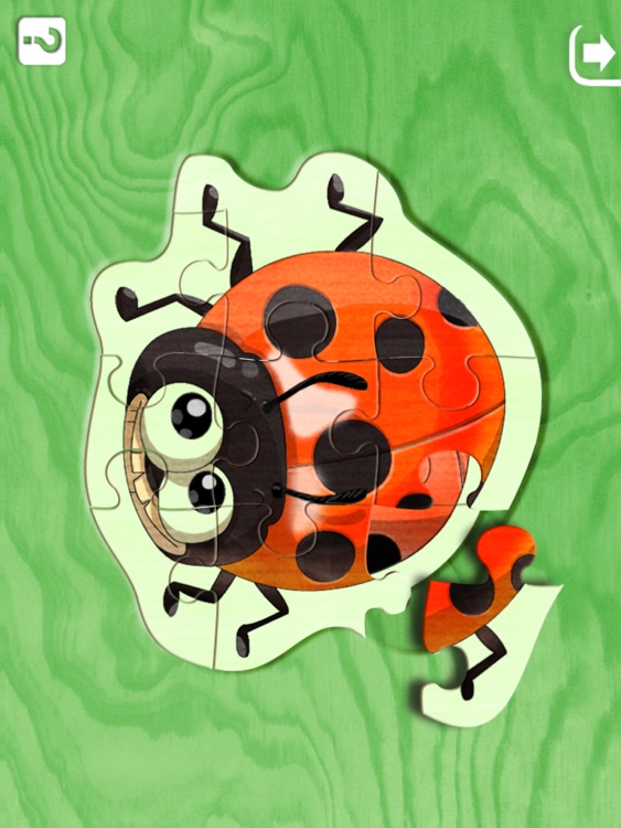 Insect Puzzle HD screenshot-3