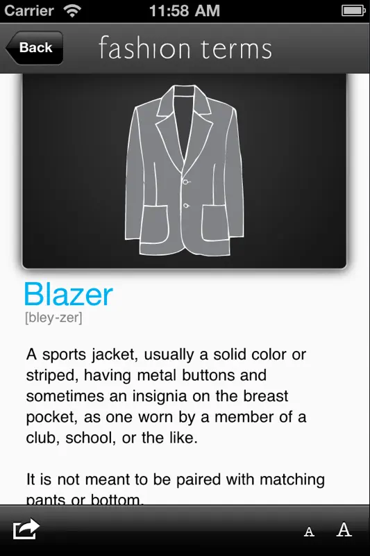 Fashion Terms screenshot 3 of 5