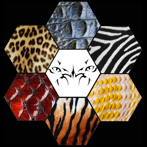 Tiger Cam icon