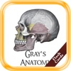 Gray's Anatomy (Flash Cards, 1274 Illustrations)