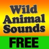 Wild Animal Sounds