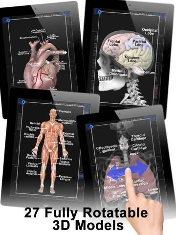 Anatomy 3D: Organsのおすすめ画像3