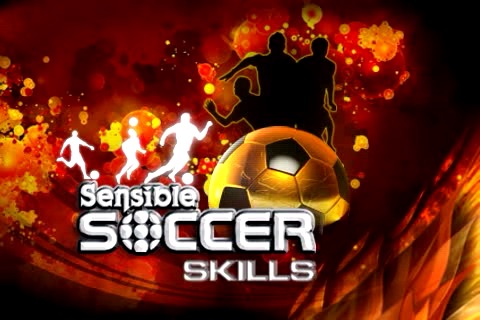 Sensible Soccer Skills(圖5)-速報App