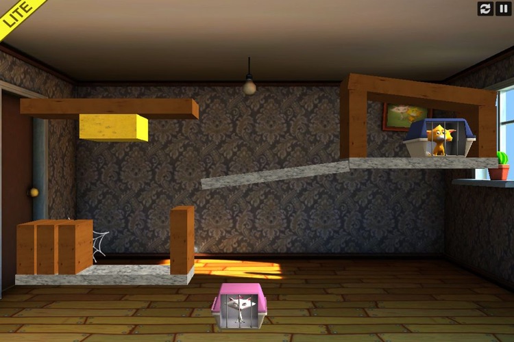 Crazy Cats Love Lite screenshot-3