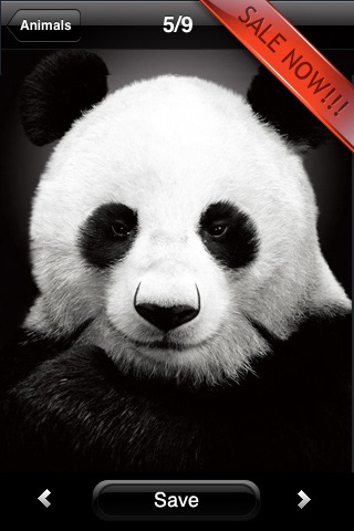 Best wallpapers & backgrounds Pro