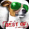 Similar 75,000 SAYINGS & JOKES - Best of Apps