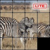 15PhotoPuzzle lite