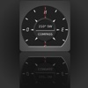 Digital Compass Pro