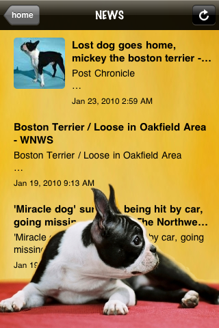 Bostons - Boston Terrier Fun screenshot 3