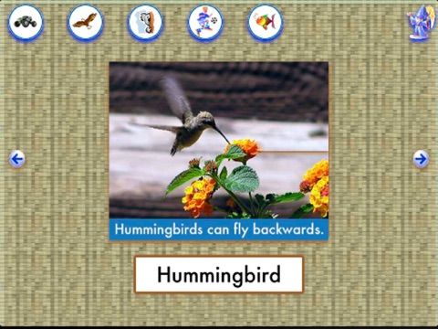 Screenshot #6 pour Sentence Scramble