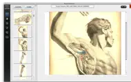 Surgical Anatomy - Premium Edition iphone bilder 3