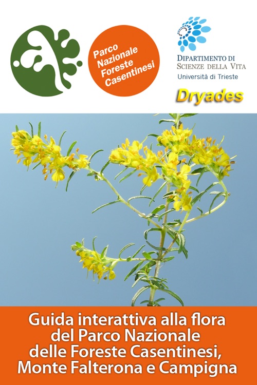 1300 piante: guida interattiva alla flora del Parco Nazionale delle Foreste Casentinesi, Monte Falterona e Campigna