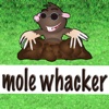 Mole Whacker 2 Player