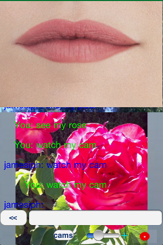 Screenshot #2 pour IVM Caméra-to-Caméra Messenger