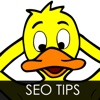 SEO Tips Guide