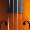 ec Viola