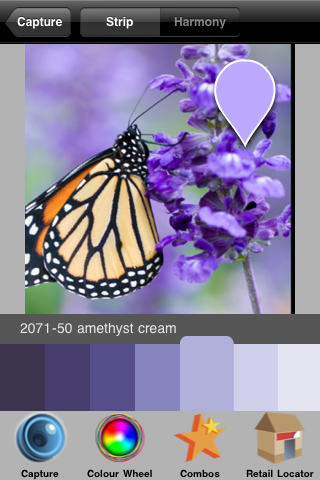Colour Capture screenshot 3
