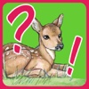 Kids' Quiz – Baby Animals