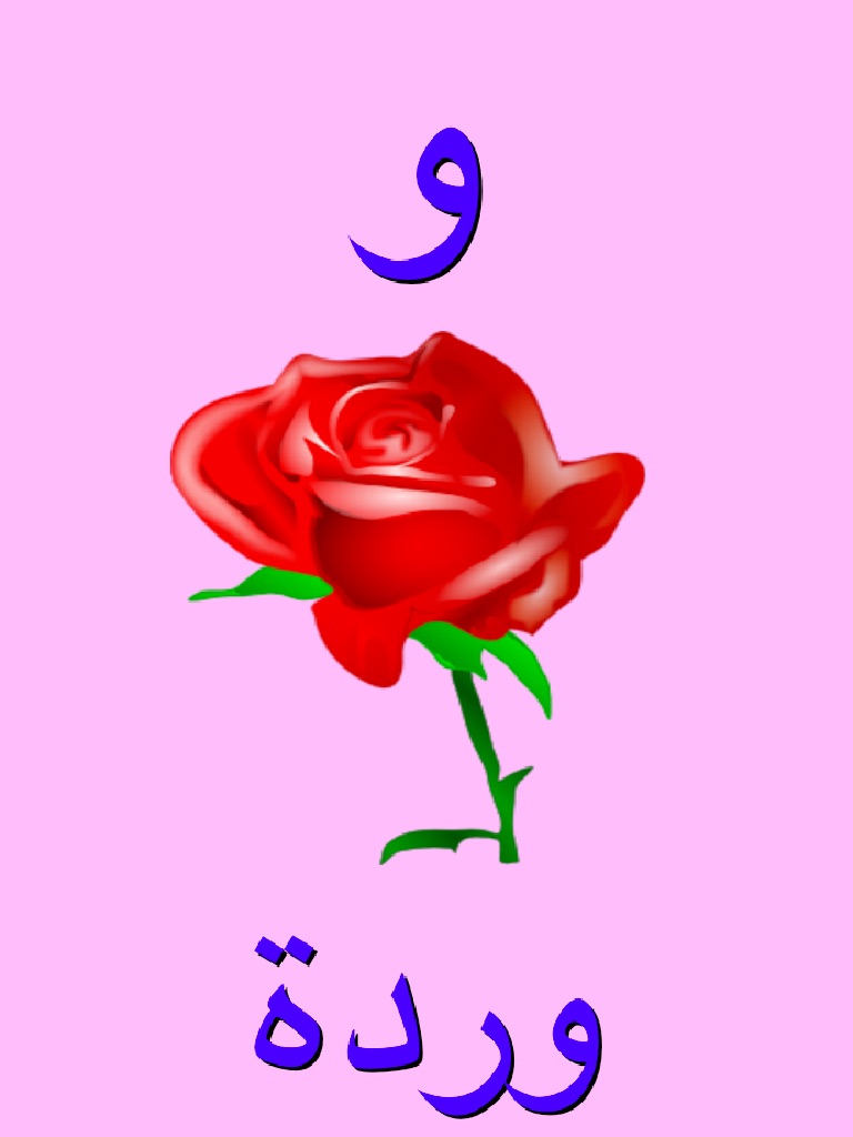 The Arabic Alphabet screenshot 4