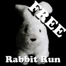 Activities of Rabbit Run Lite