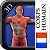 Corpus Human Anatomie 3D