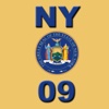 New York Consolidated Laws and Court Acts 2009 aka NY09