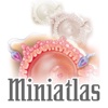 Miniatlas Sexualidade