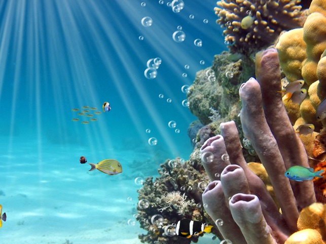 Amazing Aquarium Clock HD LITE(圖2)-速報App
