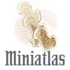 Miniatlas Osteoporose