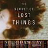 The Secret of Lost Things (by Sheridan Hay)