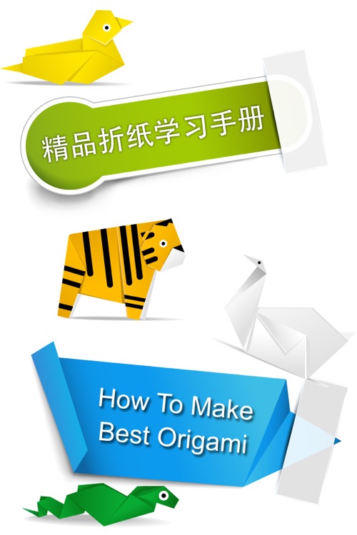 Boutique Origami Study  Step by Step