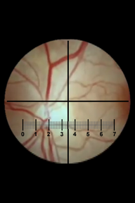 Microscope screenshot