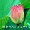 Medicinal Plants "iPhone Version"