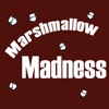 Marshmallow Madness - Christian Teaching Illustrations