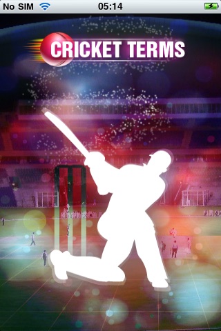 Cricket Terms
