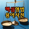 핵심형법용어사전