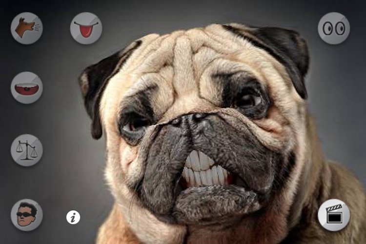 Talking Puppy