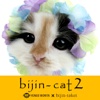 bijin-cat2