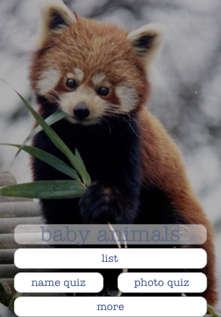 How to cancel & delete Baby Animals - An Encyclopedia Game from iphone & ipad 1