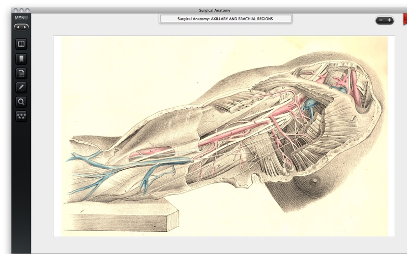surgical anatomy - premium edition iphone screenshot 3