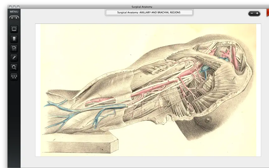 Скриншот Surgical Anatomy - Premium Edition на iPhone 3