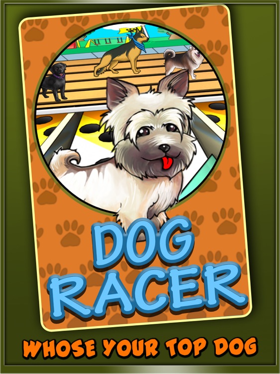 Dog Racer for iPad screenshot-4